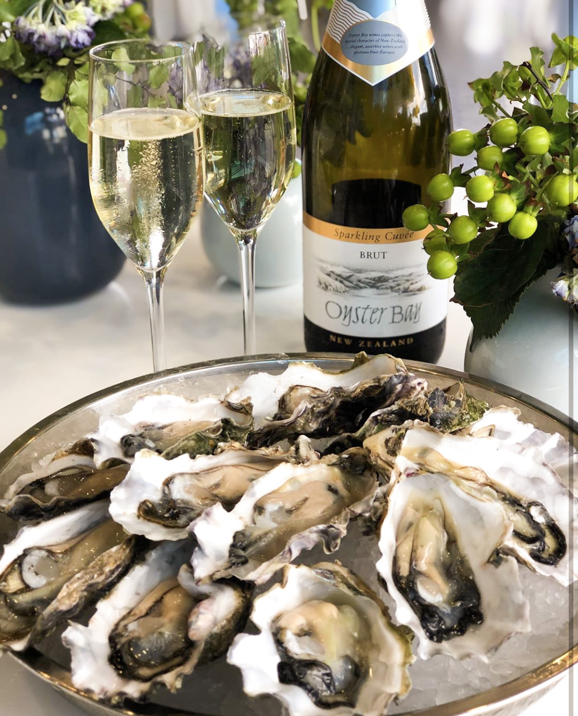 Oysters01 (1)